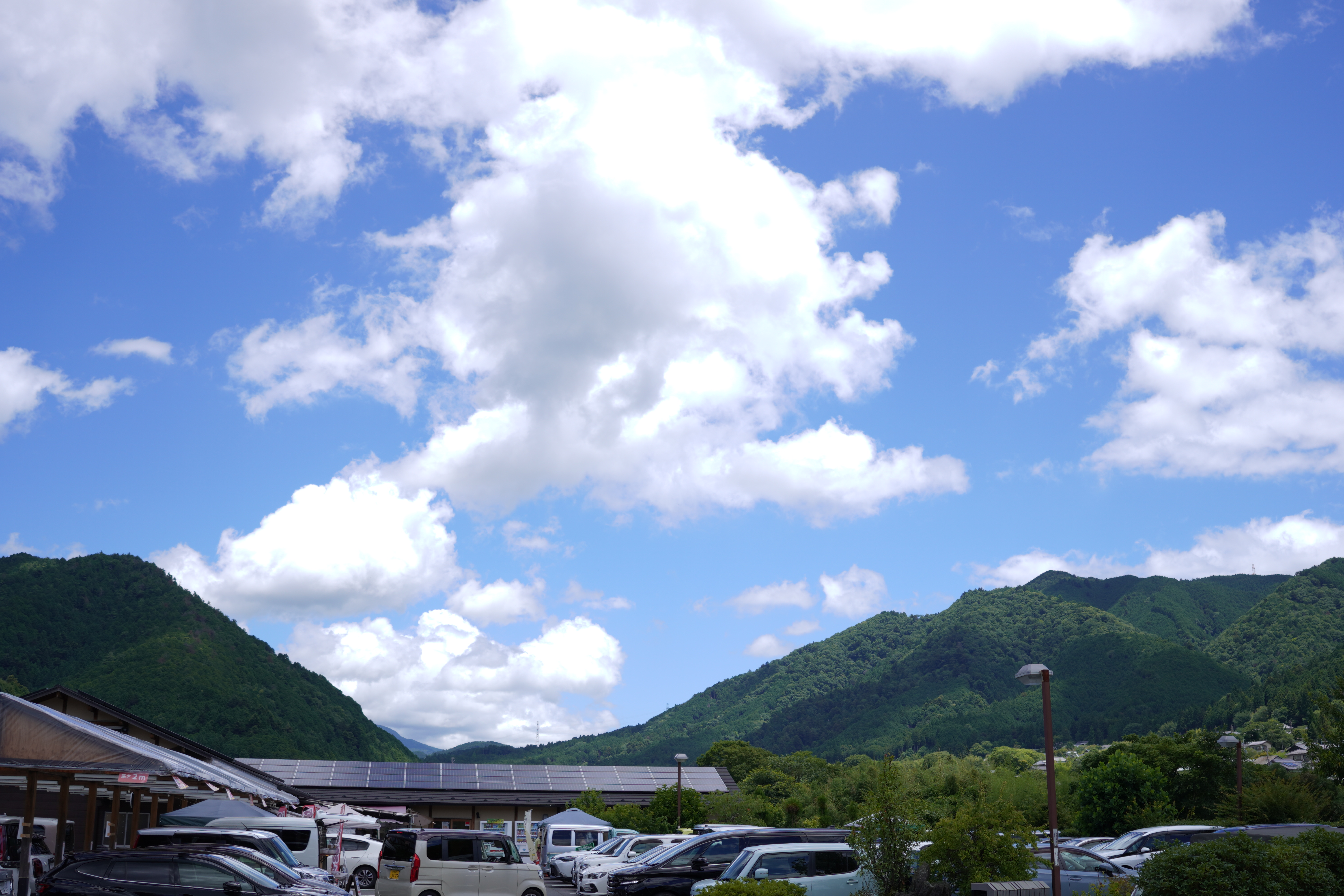 trip 3
